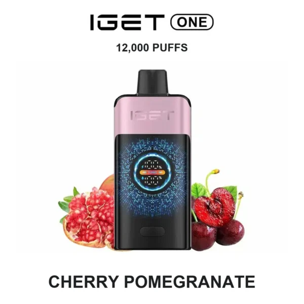 vapegogo__B2-01-IGE-ONE-CHERRYPOEMGRANATE__0.webp Cherry Pomegranate — Iget ONE