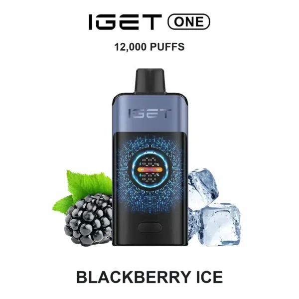 vapegogo__B2-12-IGE-ONE-BLACKBERRYICE__0.webp Blackberry Ice — Iget ONE