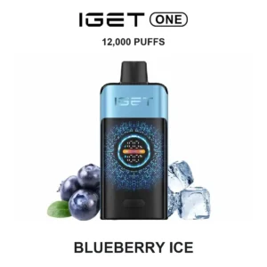 Blueberry Ice — Iget ONE