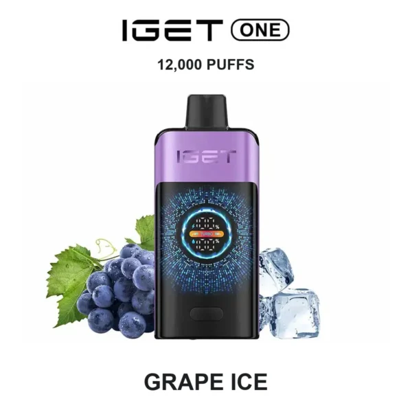 vapegogo__B2-15-IGE-ONE-GRAPEICE__0.webp Grape Ice — Iget ONE