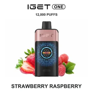 vapegogo__B2-19-IGE-ONE-STRAWBERRYRASPBERRY__0.webp Strawberry Raspberry — Iget ONE