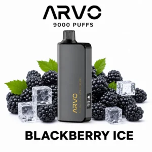 Blackberry Ice - JNR 12000 disposable vape Blackberry Ice - JNR 12000 disposable vape
