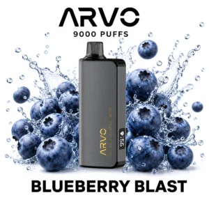 Blueberry Blast - JNR 12000 disposable vape Blueberry Blast - JNR 12000 disposable vape