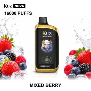 Mixed Berries - Iget ONE disposable vape